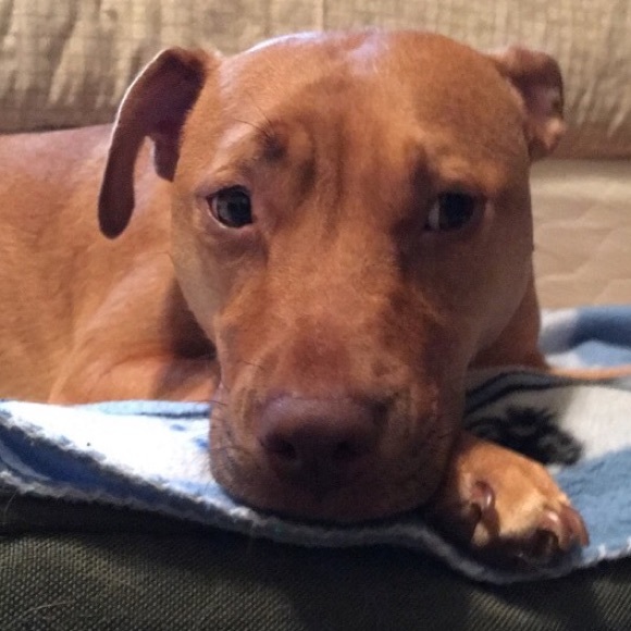 Meet your Posher, Stephanie - Picture 15 of 17